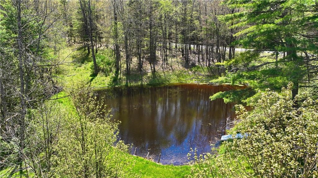 480 Buckley Hill Road Coventry, NY 13730 - Photo 23 of 31
