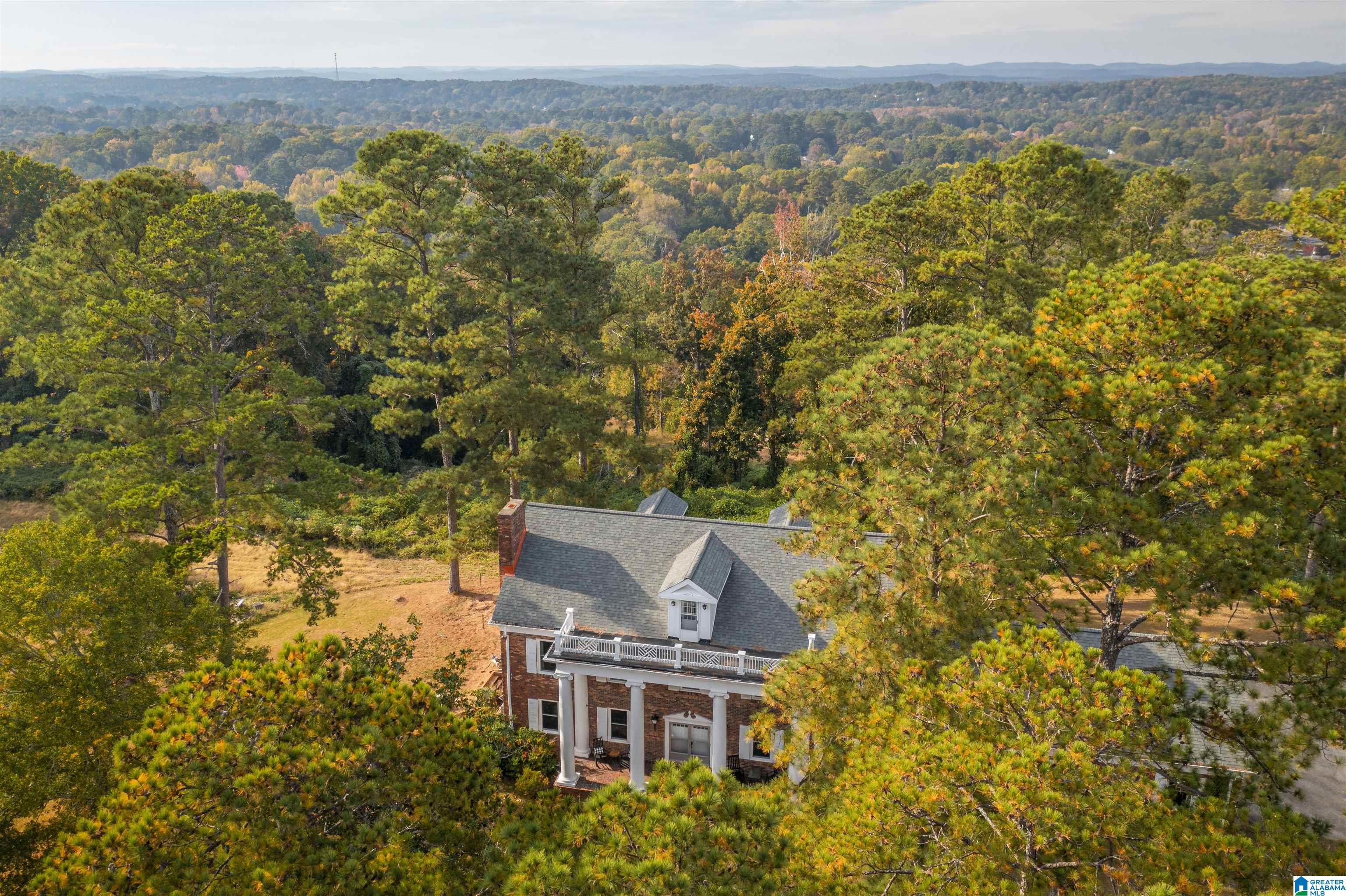 201 Cave Hill Road Weaver, AL 36277 - Photo 2 of 78