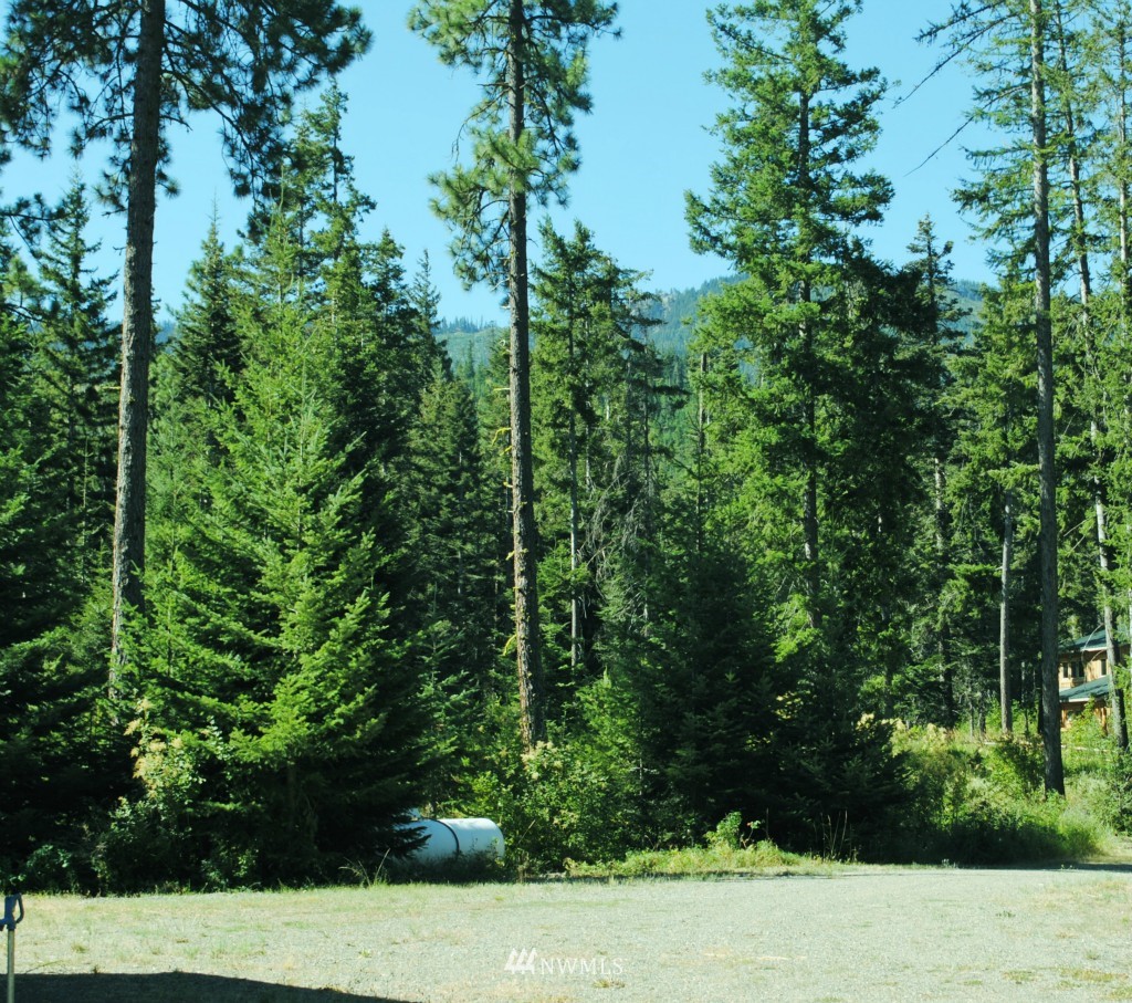 10225 Westside Road Cle Elum, WA 98922 - Photo 5 of 11 Gallery Image 5