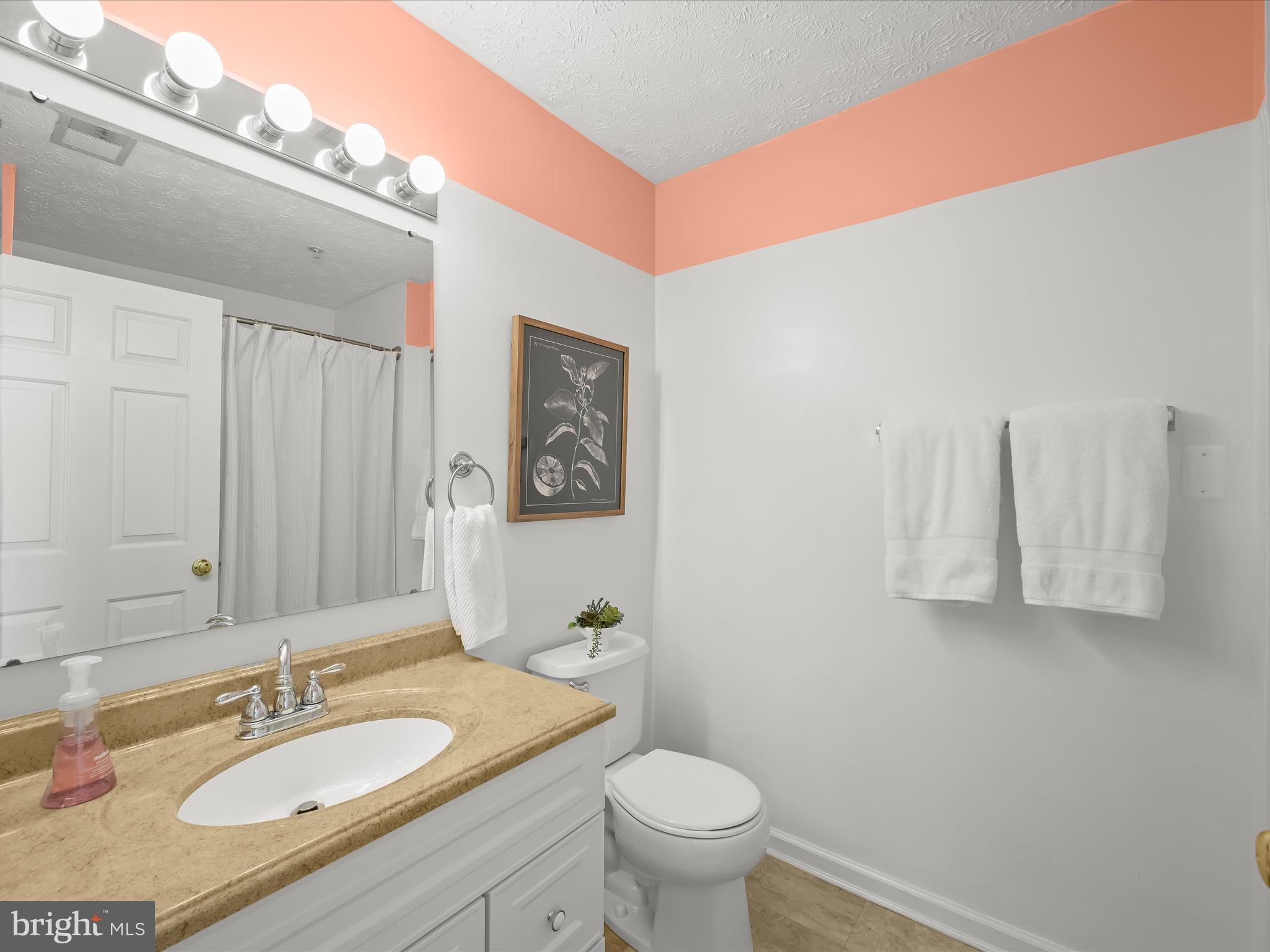 2440 Blue Spring Court, Unit 203 Odenton, MD 21113 - Photo 17 of 36 Primary Bath