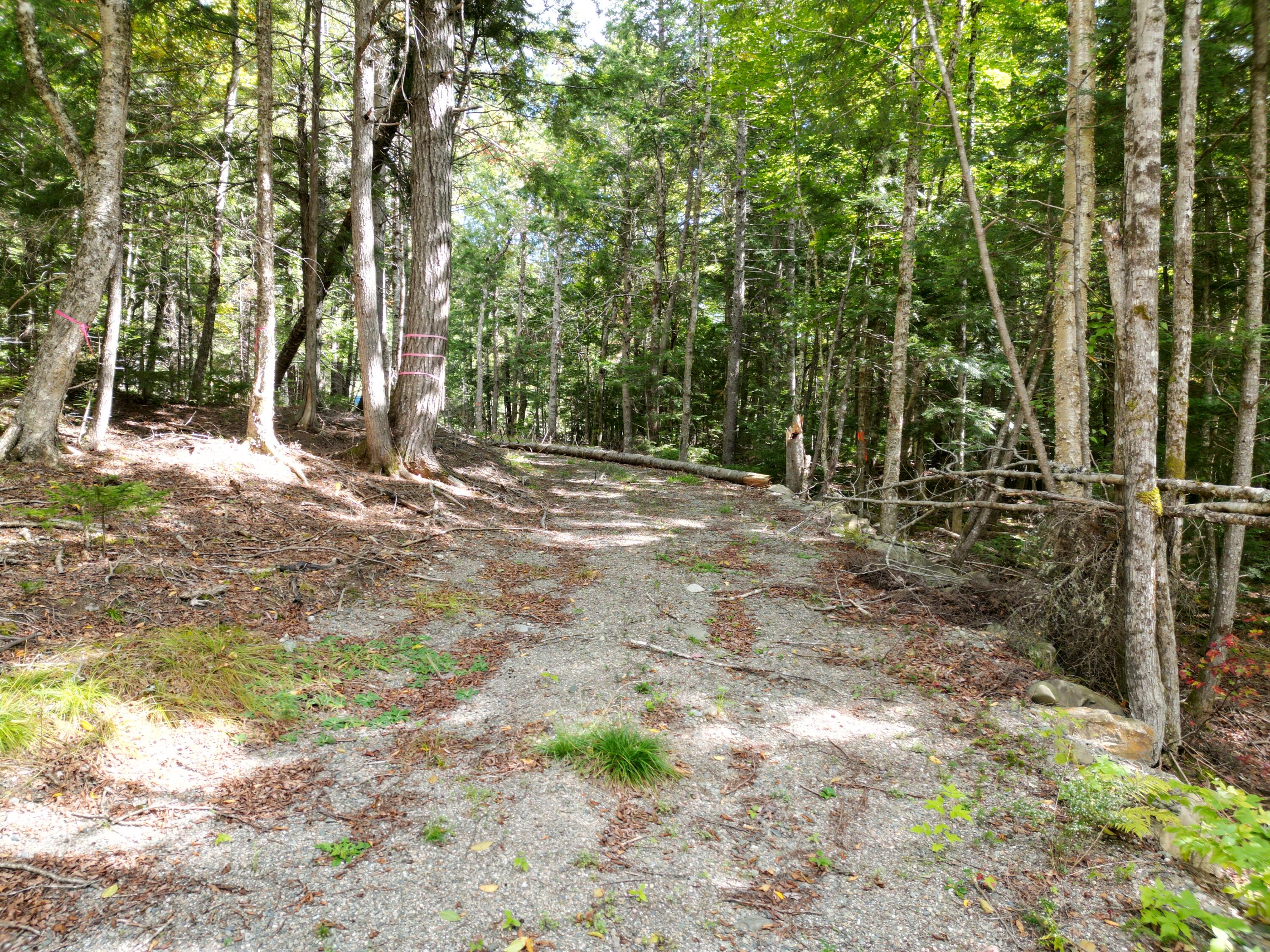 Lot 24-24i Silver Ridge Road Kingman, ME 04451 - Photo 7 of 25 DJI_0970