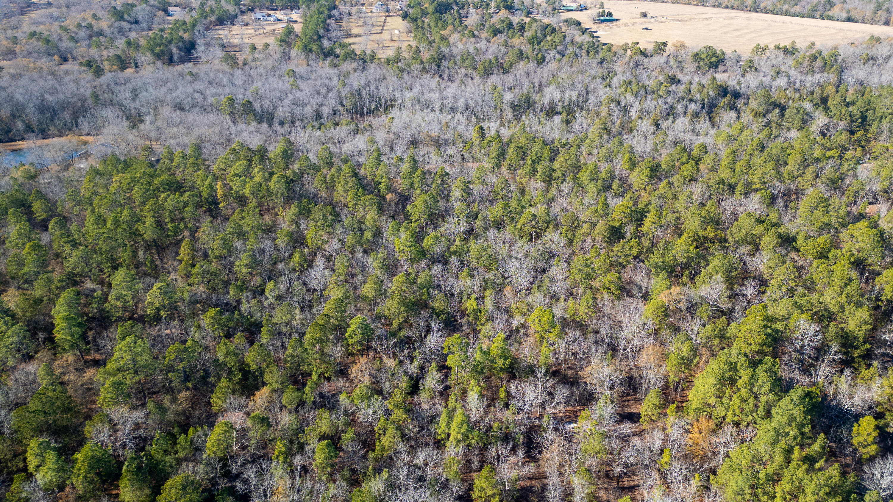 1424 Hatchaway Bridge Road Aiken, SC 29801 - Photo 6 of 9 Gallery Image 6