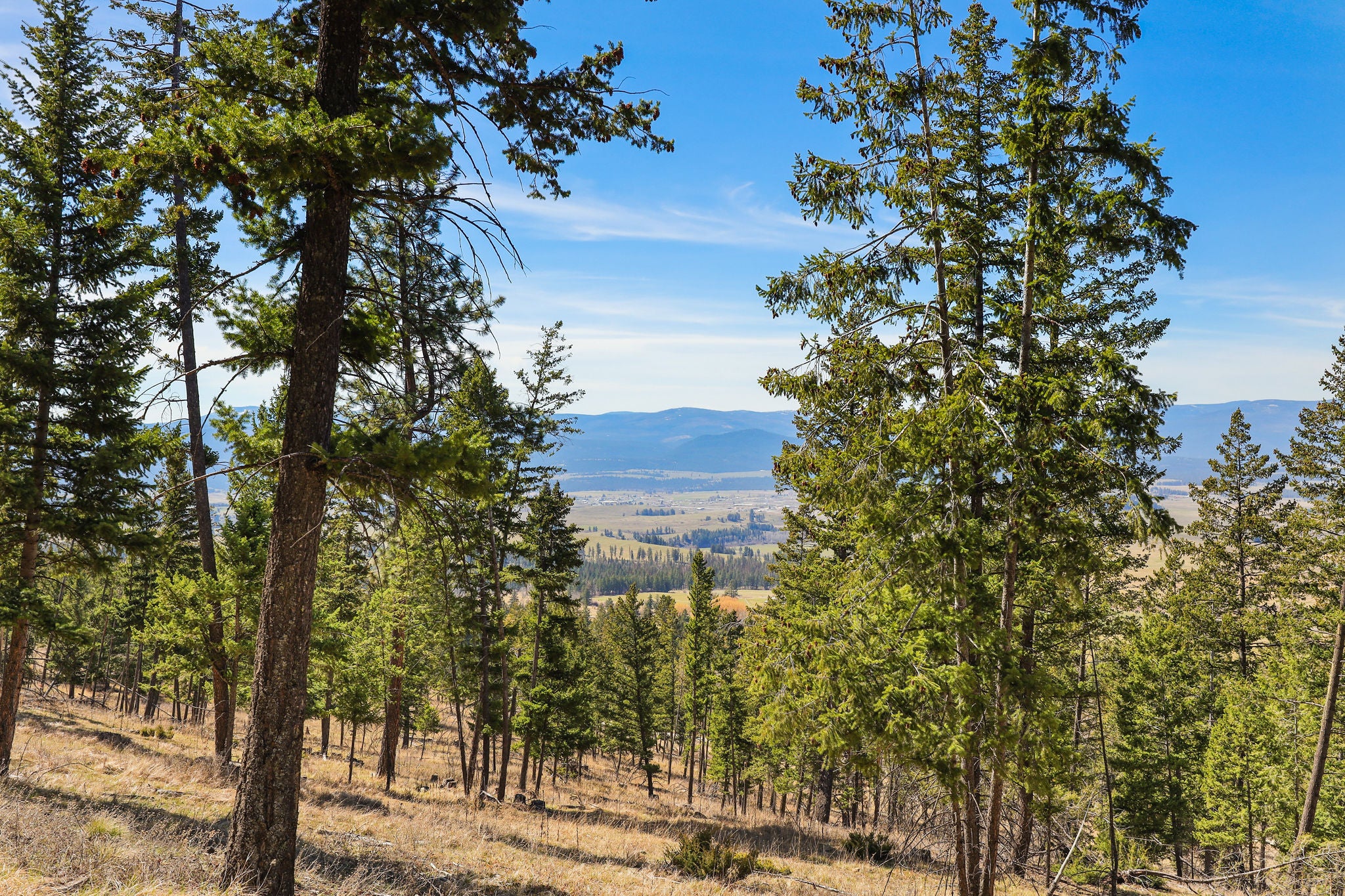 784 Plvid Road Eureka, MT 59917 - Photo 10 of 50 Gallery Image 10