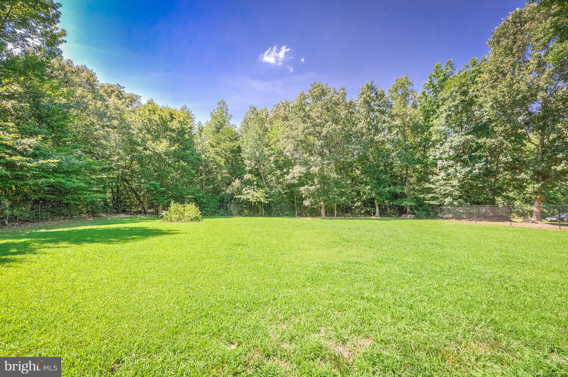 23949 Hollywood Road Hollywood, MD 20636 - Photo 19 of 30 Fenced Backyard