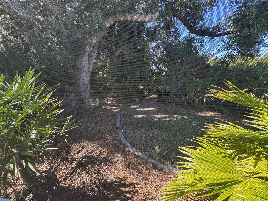 549 Warwick Lane Venice, FL 34293 - Photo 36 of 38 a view of a yard with plants and large trees