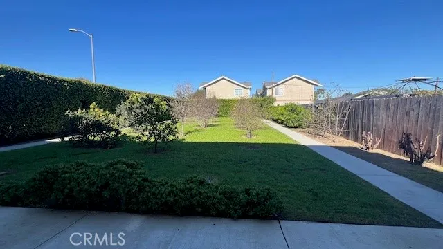 a view of a garden with a pathway