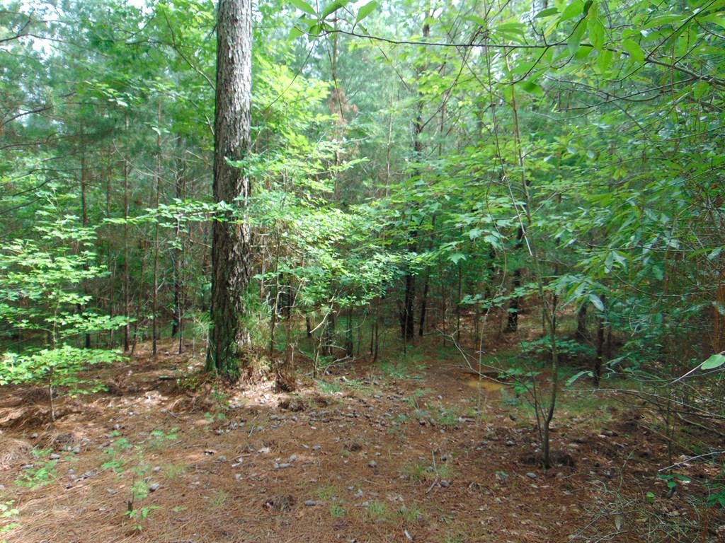 0 Pinhook Road Delano, TN 37325 - Photo 21 of 35
