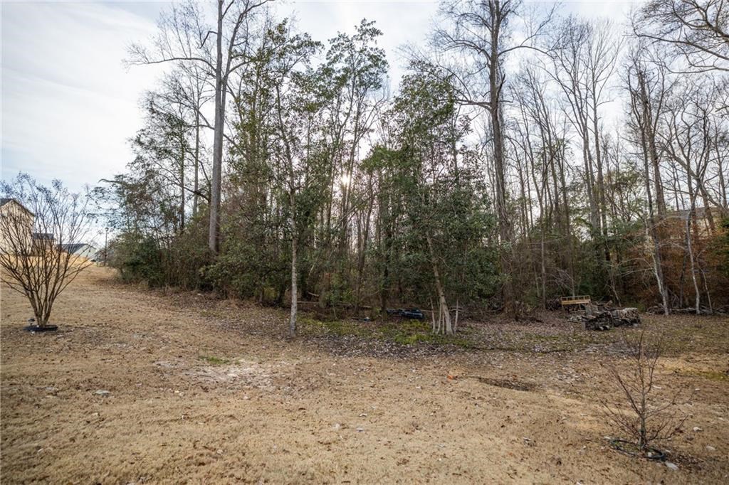 10 Riverside Drive Fort Mitchell, AL 36856 - Photo 5 of 48