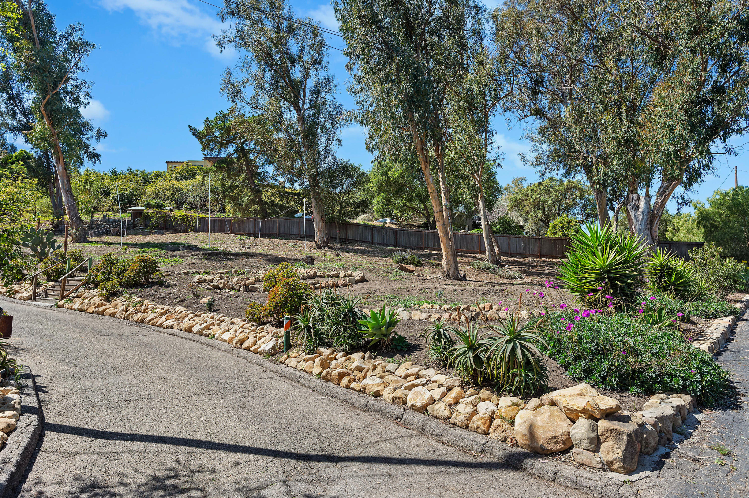 55 Crestview Lane Santa Barbara, CA 93108 - Photo 22 of 28 a view of a garden with a bench