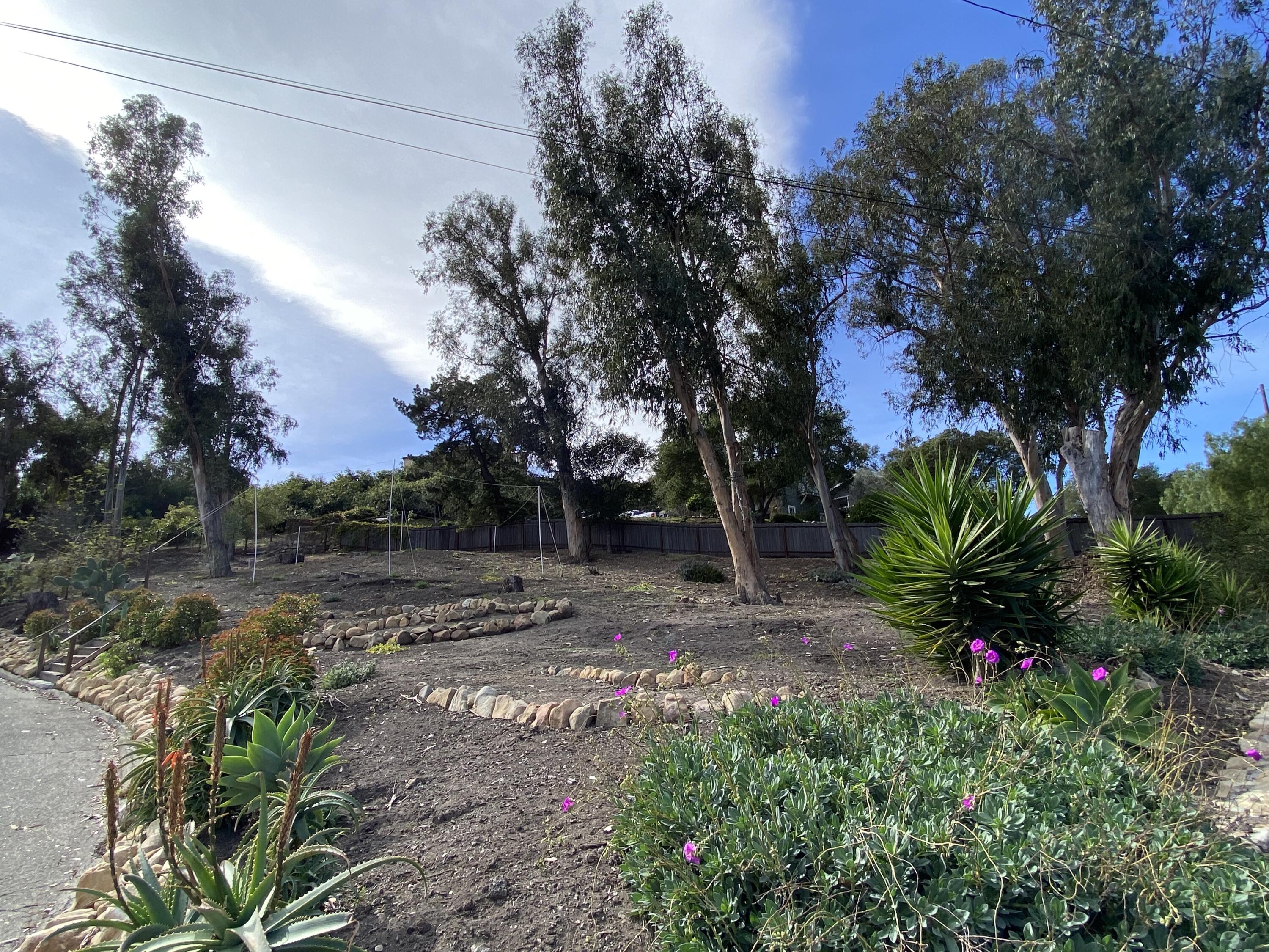 55 Crestview Lane Santa Barbara, CA 93108 - Photo 23 of 28 a backyard of a house with lots of green space and trees all around