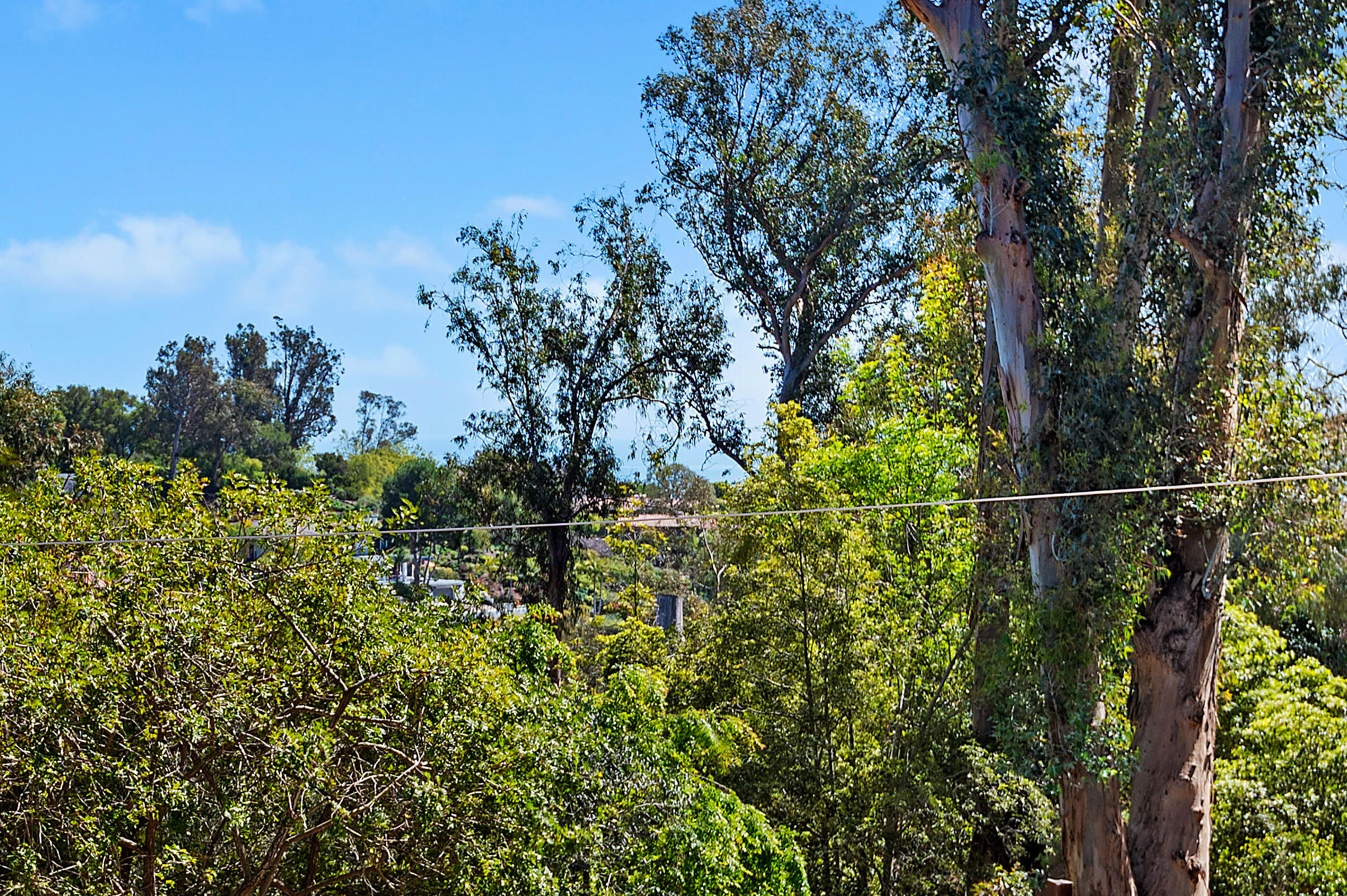 55 Crestview Lane Santa Barbara, CA 93108 - Photo 26 of 28 a view of a yard