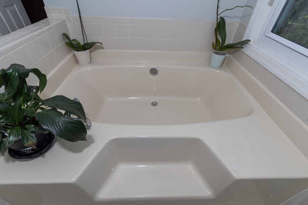 11318 Warm Springs Road Midland, GA 31820 - Photo 20 of 32 MASTER BATHROOM SOAKING TUB