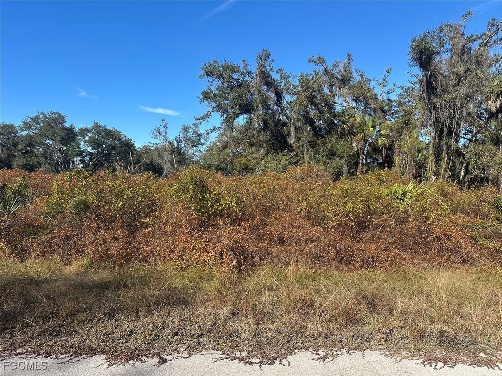 646 Kleinart Drive Lehigh Acres, FL 33972 - Photo 2 of 4 a view of a field