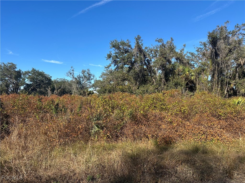 646 Kleinart Drive Lehigh Acres, FL 33972 - Photo 3 of 4 a view of a yard with a tree