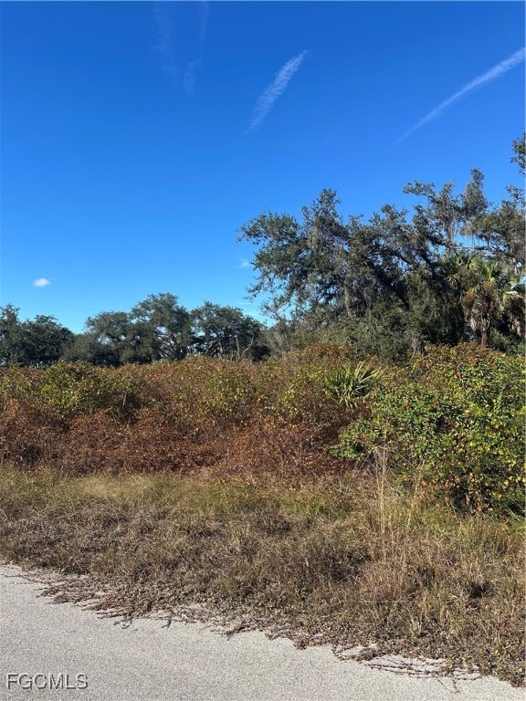 646 Kleinart Drive Lehigh Acres, FL 33972 - Photo 4 of 4 a view of a field with an ocean