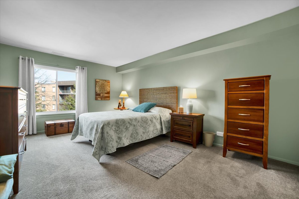 950 East Wilmette Road, Unit 325 Palatine, IL 60074 - Photo 13 of 45