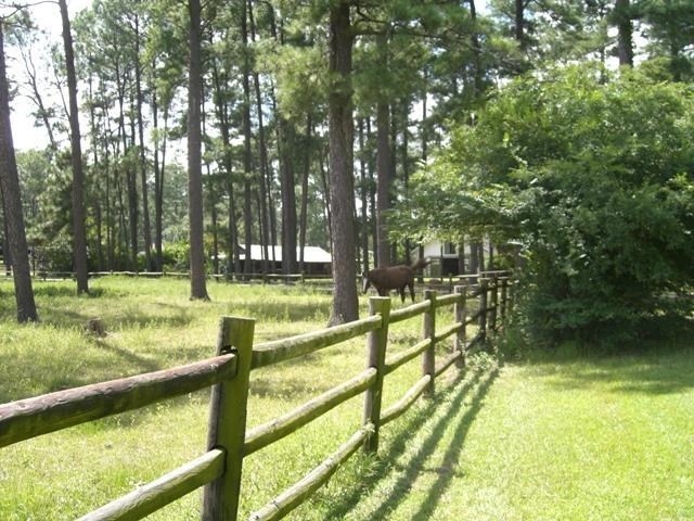 Tbd Youngs Road Southern Pines, NC 28387 - Photo 4 of 4 Additional Photo