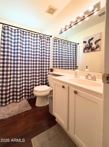a bathroom with a sink toilet vanity and shower