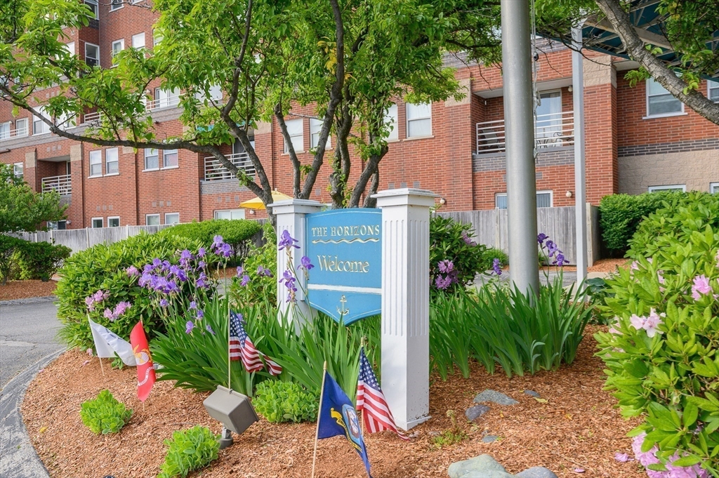 9 Park Avenue, Unit 705 Hull, MA 02045 - Photo 18 of 22 a plant that is in front of the house