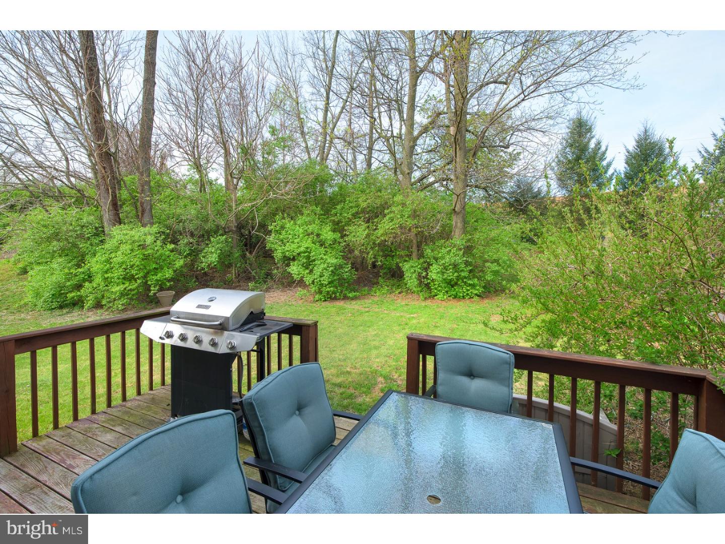 204 Bainbridge Circle Sinking Spring, PA 19608 - Photo 4 of 20 Back Yard