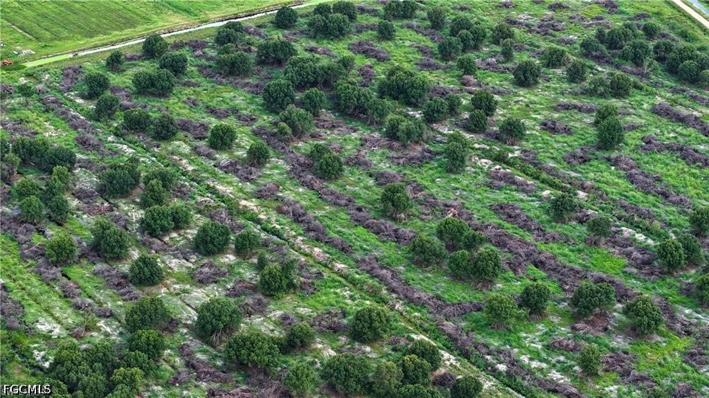 0 2nd Road LaBelle, FL 33935 - Photo 4 of 10