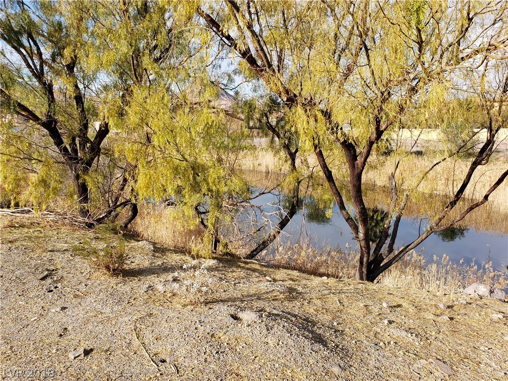 31 Rue Mediterra Drive Henderson, NV 89011 - Photo 11 of 50