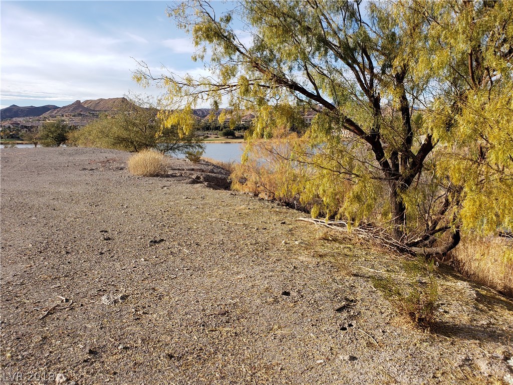 31 Rue Mediterra Drive Henderson, NV 89011 - Photo 12 of 50