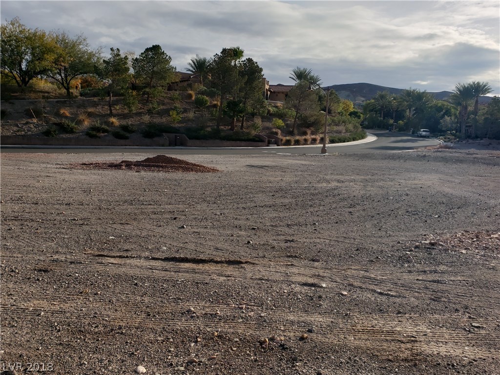 31 Rue Mediterra Drive Henderson, NV 89011 - Photo 25 of 50