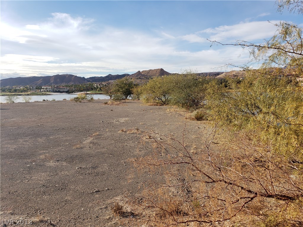 31 Rue Mediterra Drive Henderson, NV 89011 - Photo 29 of 50