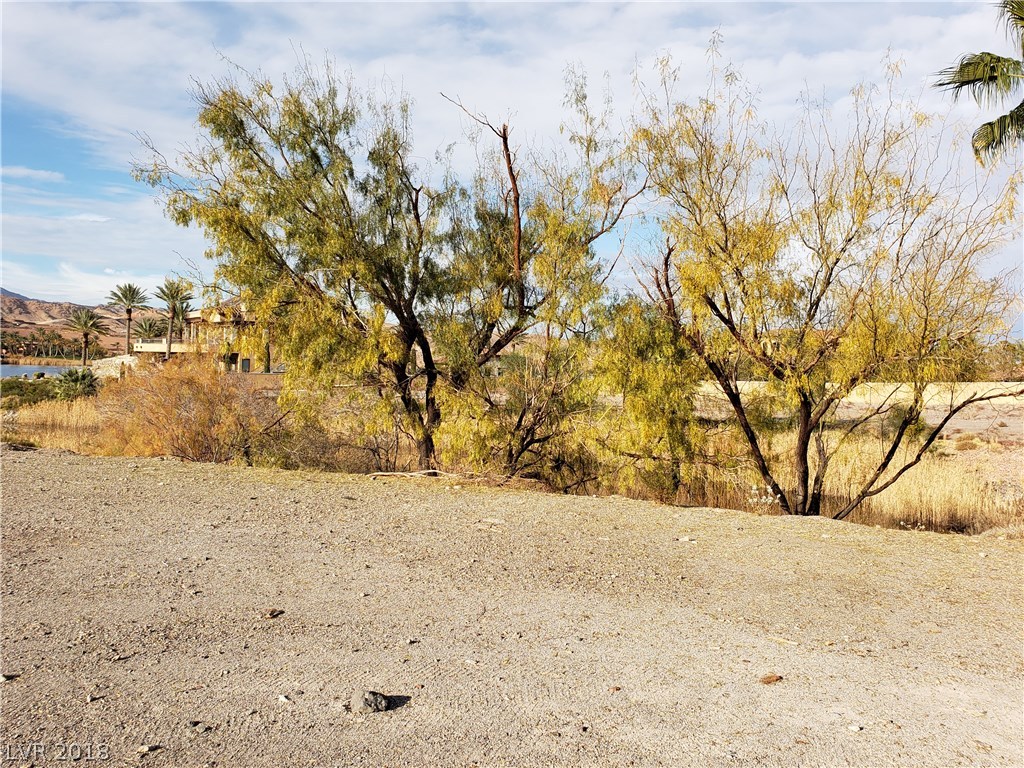 31 Rue Mediterra Drive Henderson, NV 89011 - Photo 10 of 50