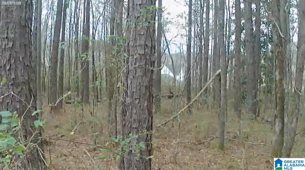 0 Lane Road Oxford, AL 36203 - Photo 2 of 4