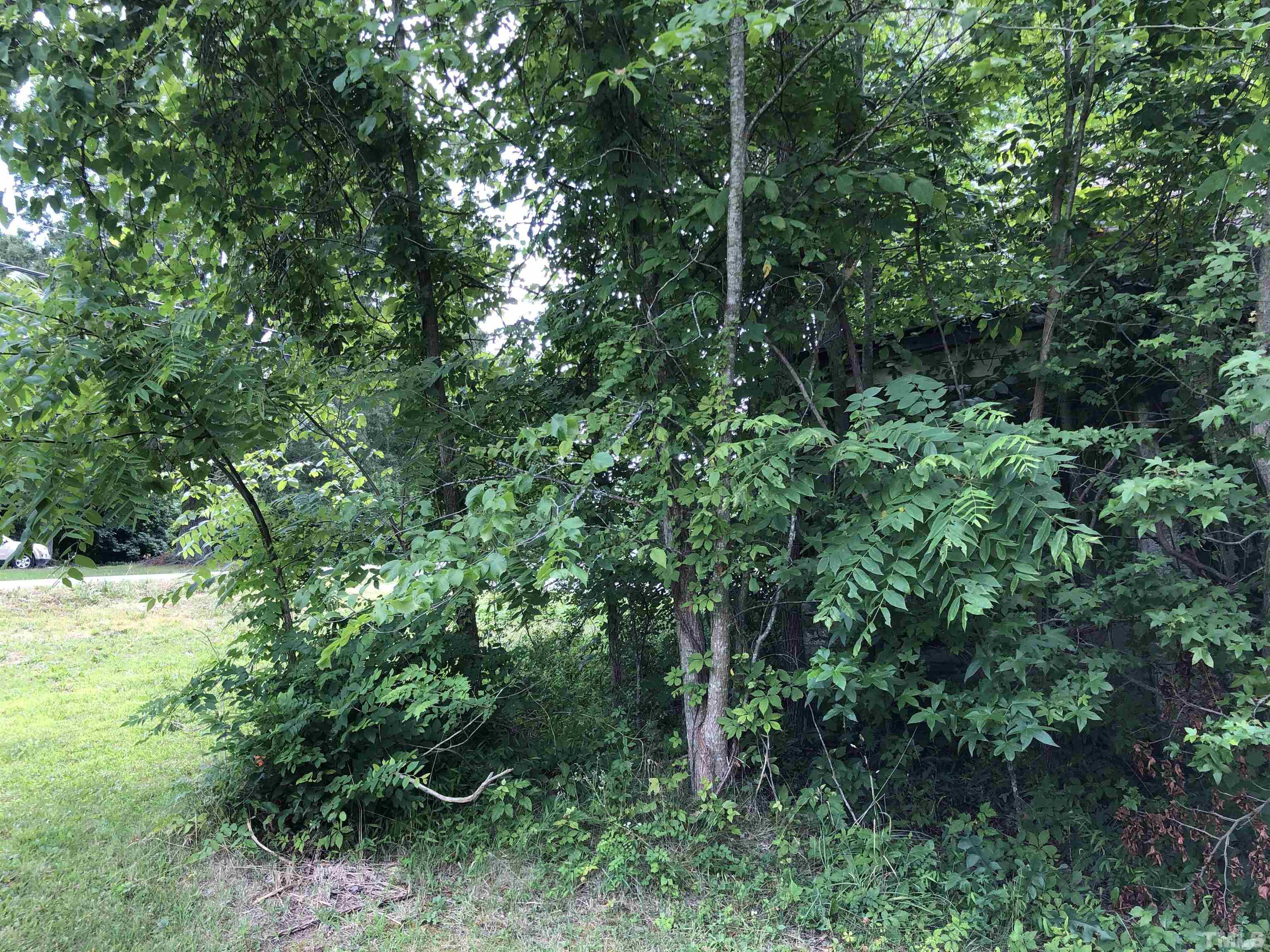 277 Cavel Chub Lake Road Roxboro, NC 27574 - Photo 13 of 24 a view of outdoor space and yard