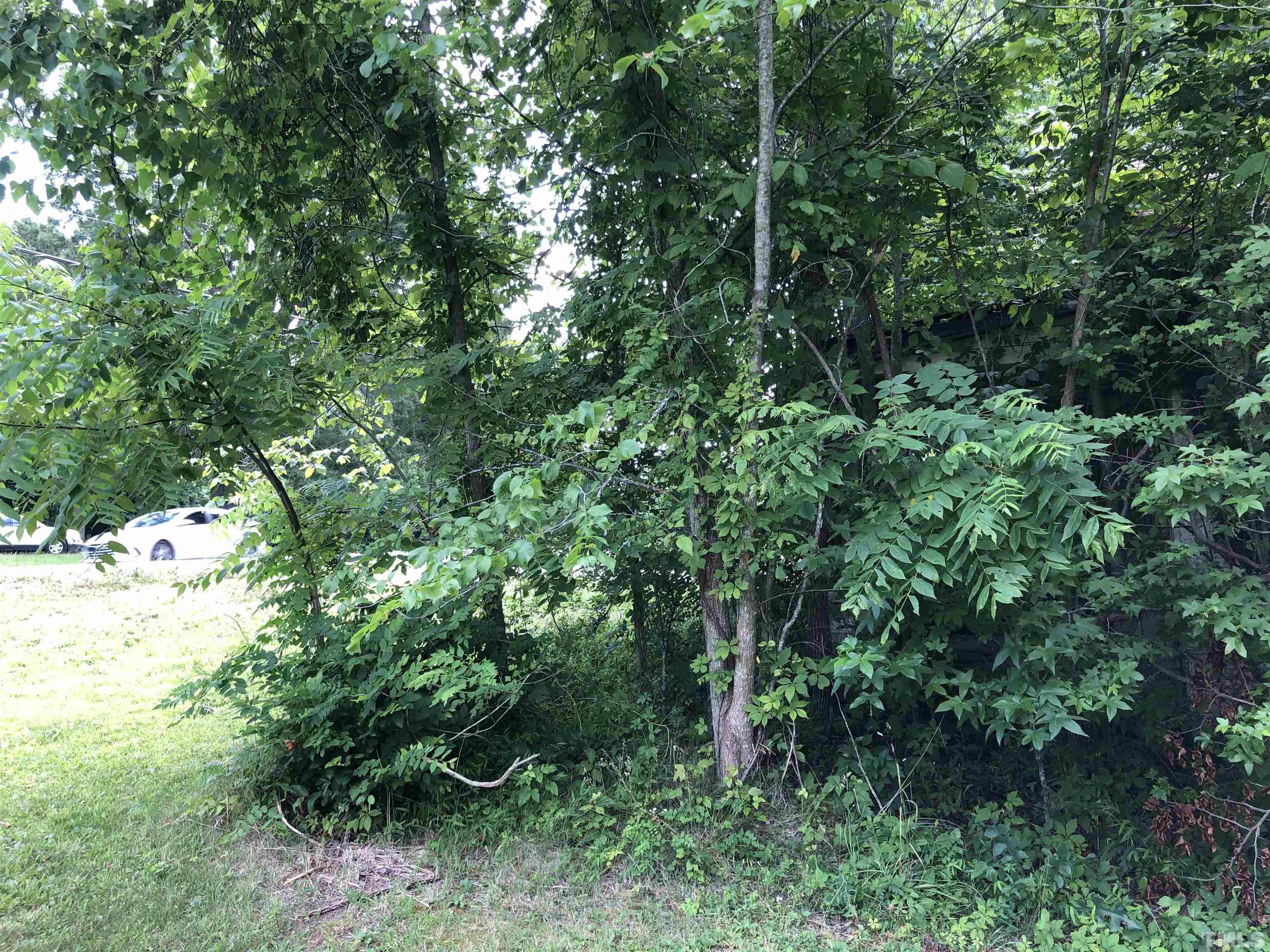 277 Cavel Chub Lake Road Roxboro, NC 27574 - Photo 14 of 24 a view of a yard with plants and large trees