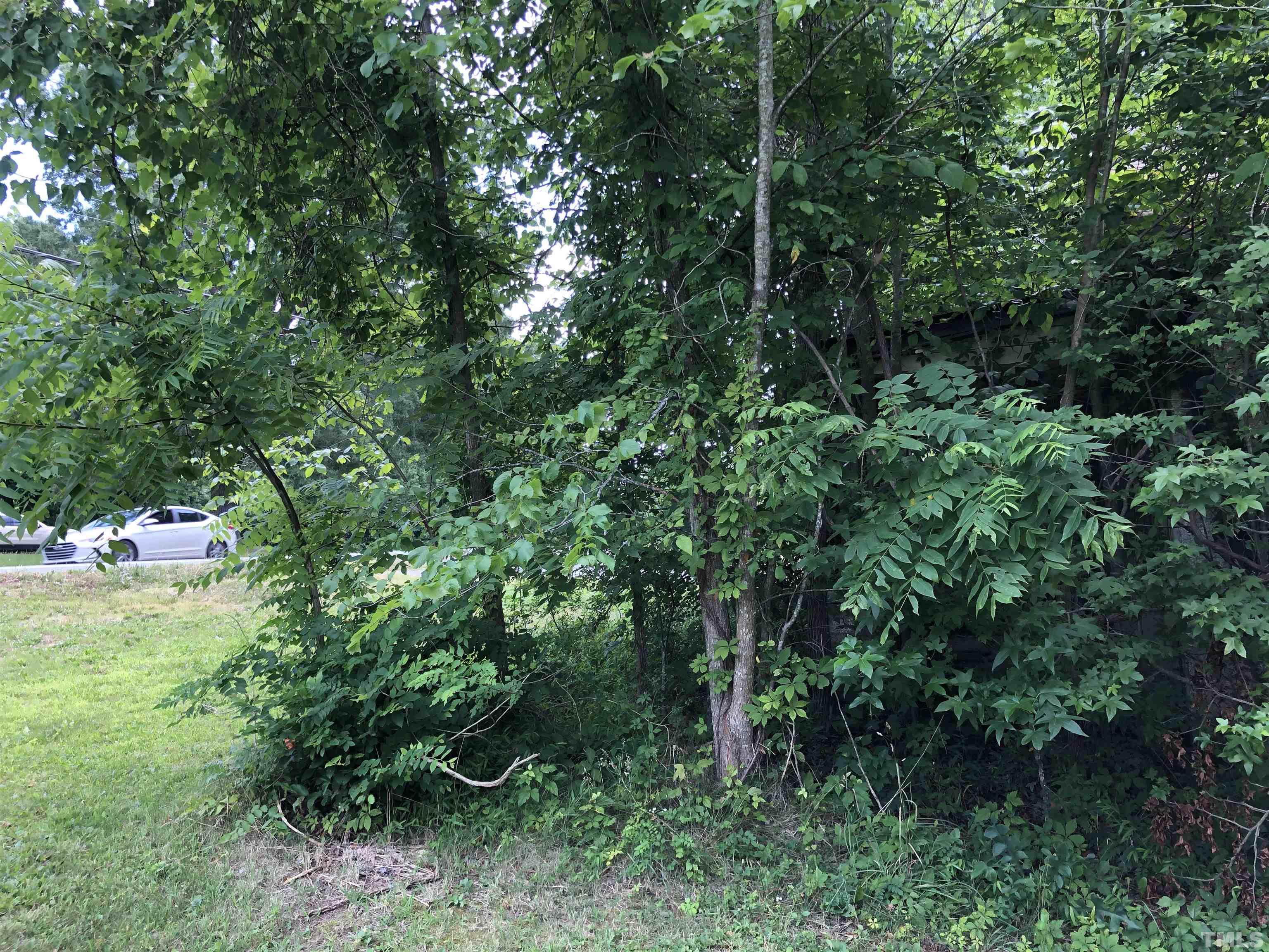277 Cavel Chub Lake Road Roxboro, NC 27574 - Photo 15 of 24 a view of yard with green space
