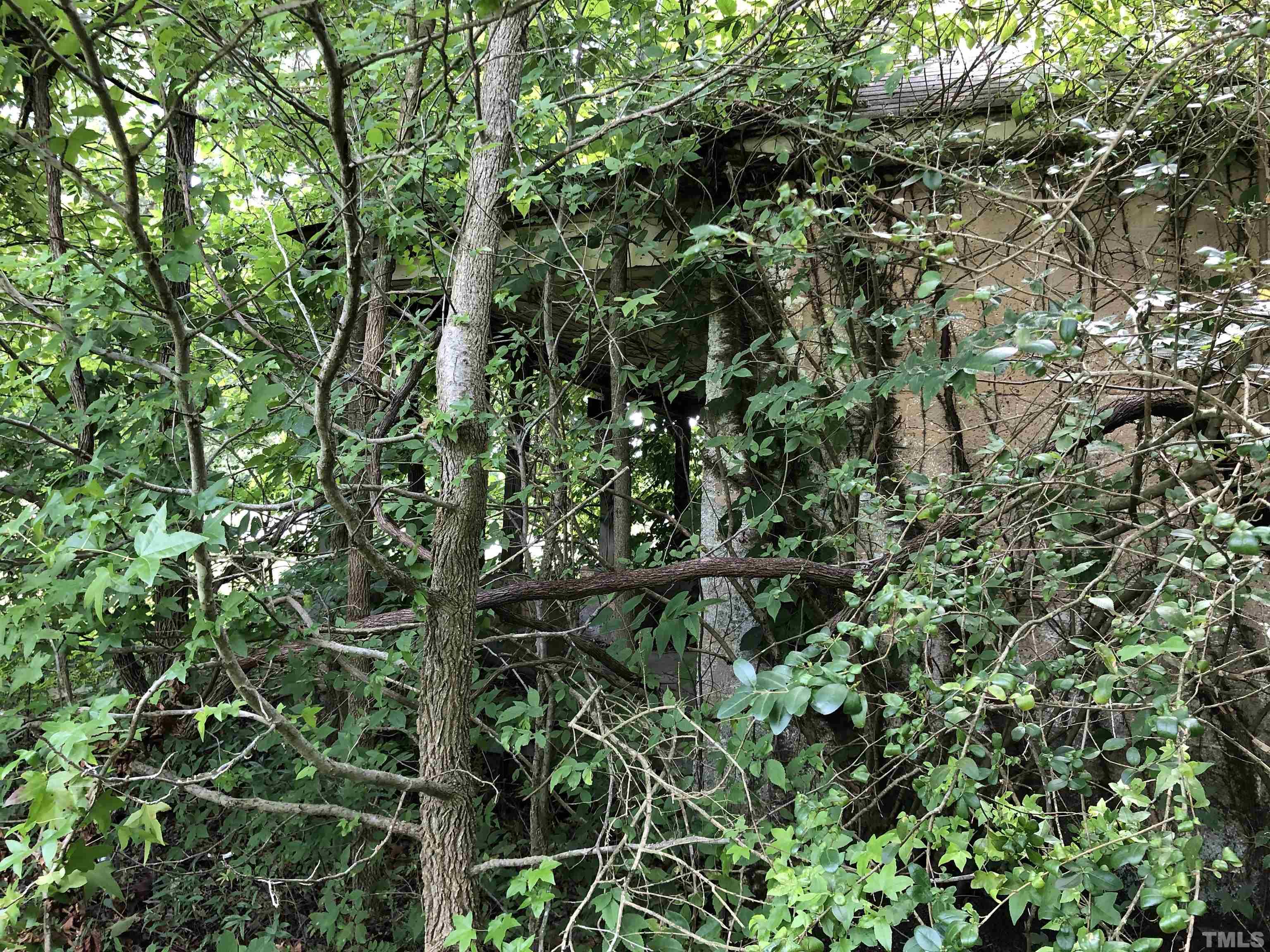 277 Cavel Chub Lake Road Roxboro, NC 27574 - Photo 16 of 24 a backyard of a house with lots of trees