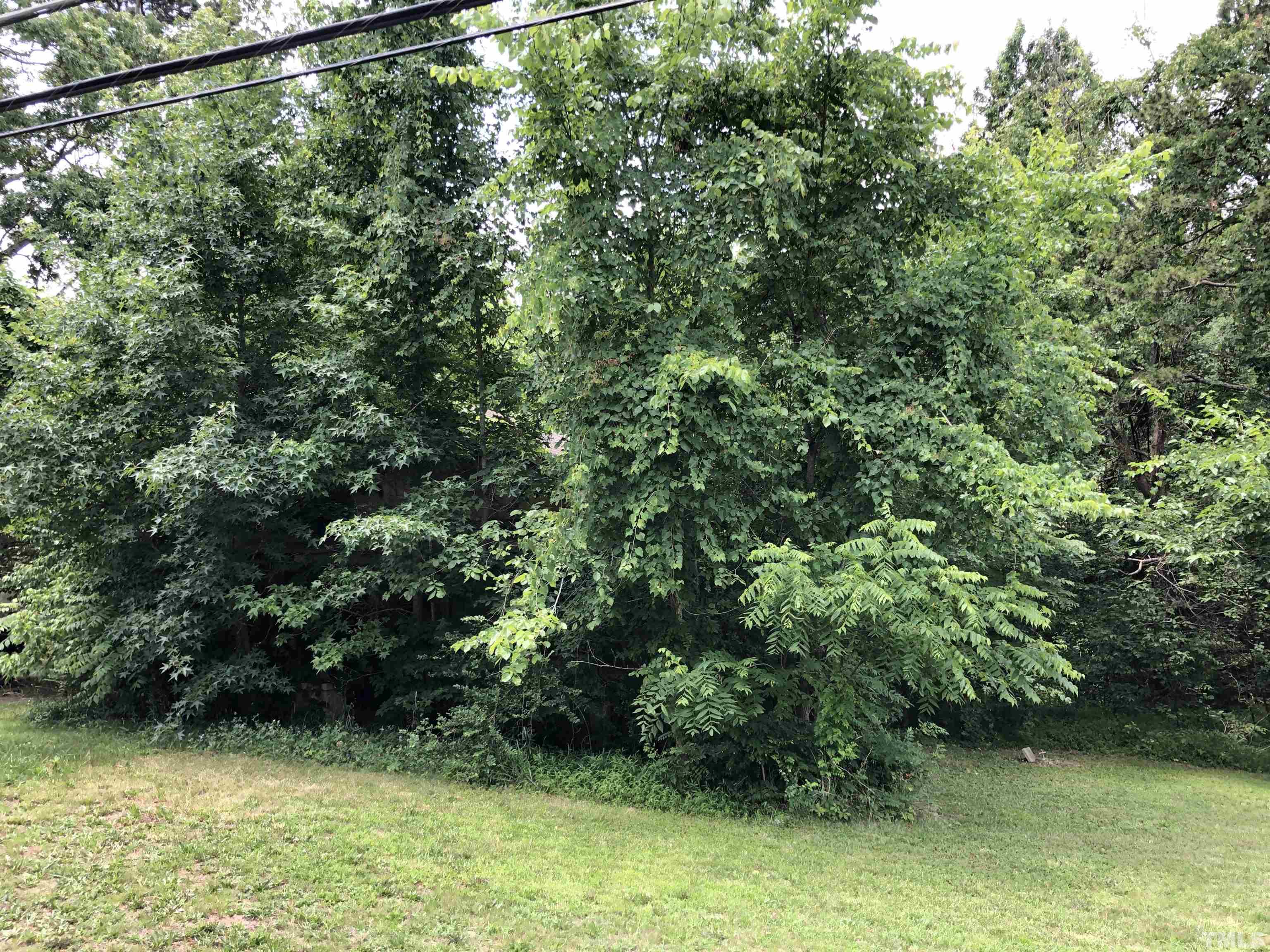 277 Cavel Chub Lake Road Roxboro, NC 27574 - Photo 18 of 24 a view of a garden