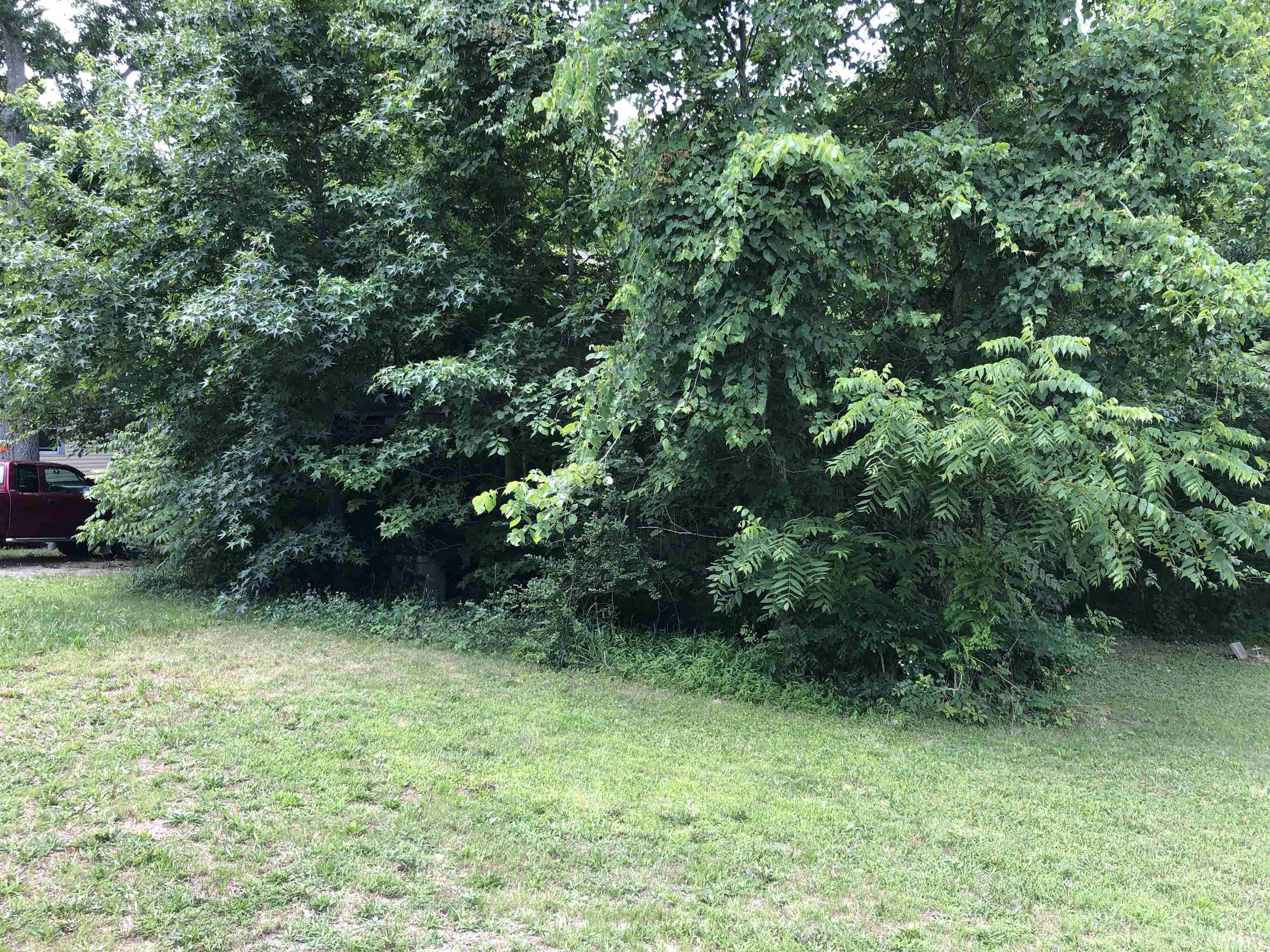 277 Cavel Chub Lake Road Roxboro, NC 27574 - Photo 4 of 24