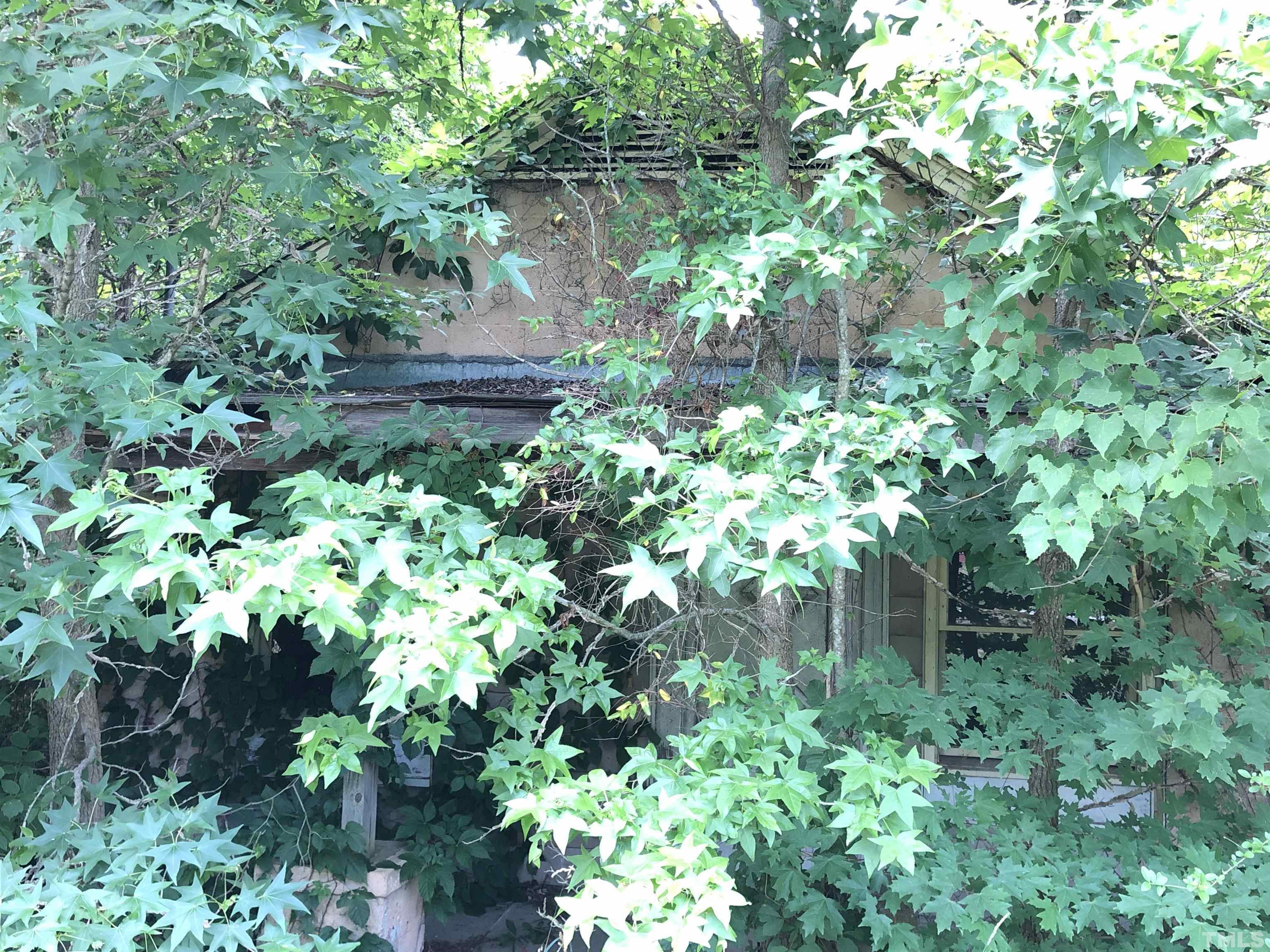 277 Cavel Chub Lake Road Roxboro, NC 27574 - Photo 5 of 24 a backyard of a house with lots of green space and garden