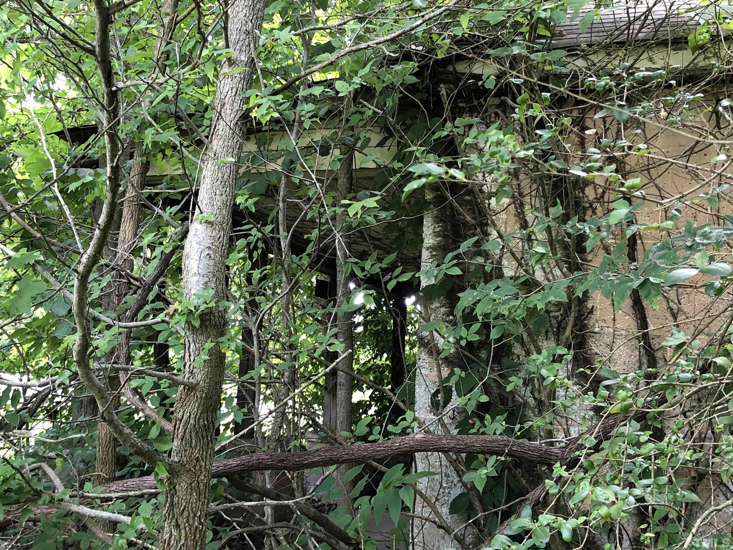 277 Cavel Chub Lake Road Roxboro, NC 27574 - Photo 6 of 24 a view of tree