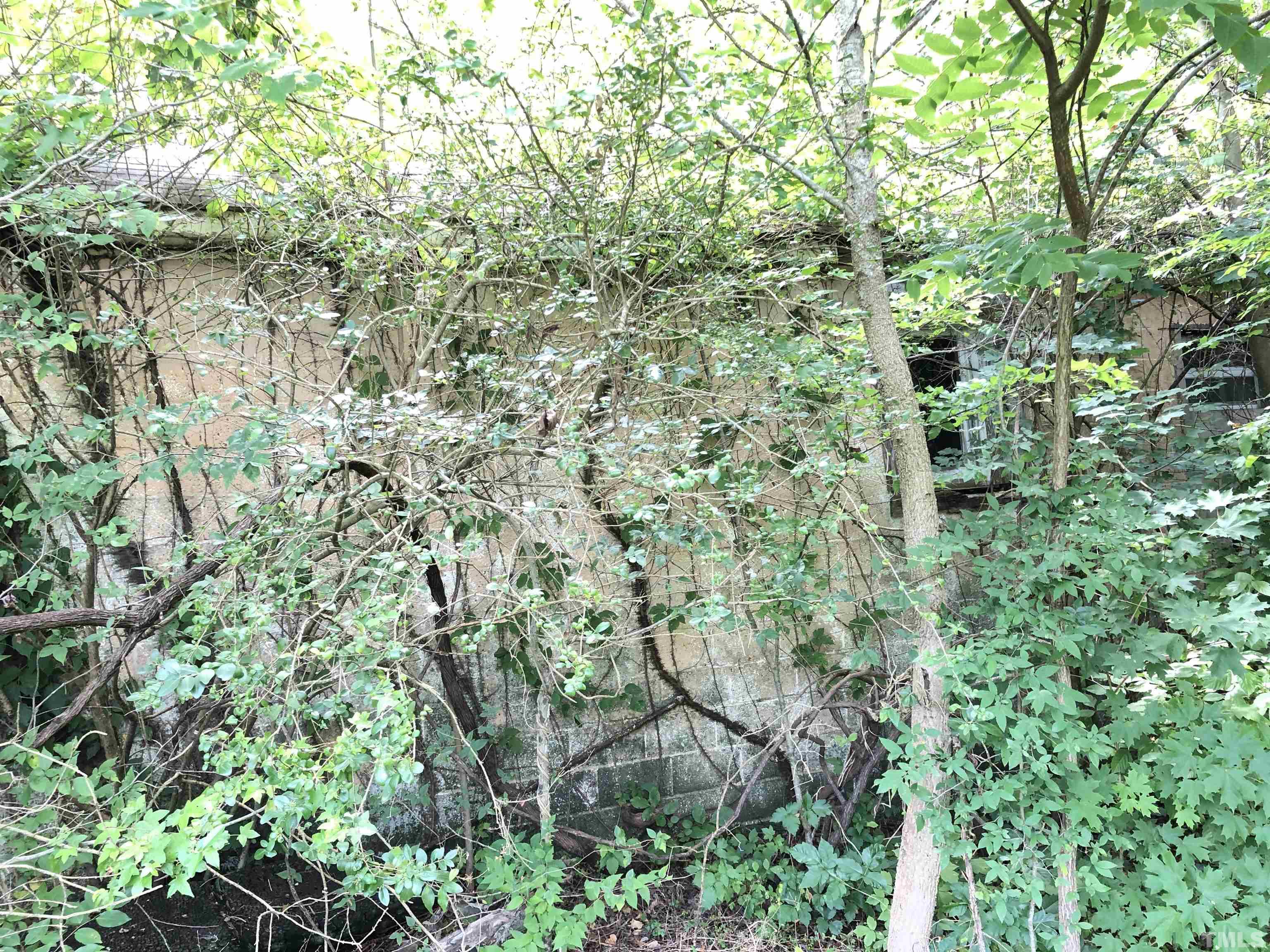 277 Cavel Chub Lake Road Roxboro, NC 27574 - Photo 7 of 24 a plant view