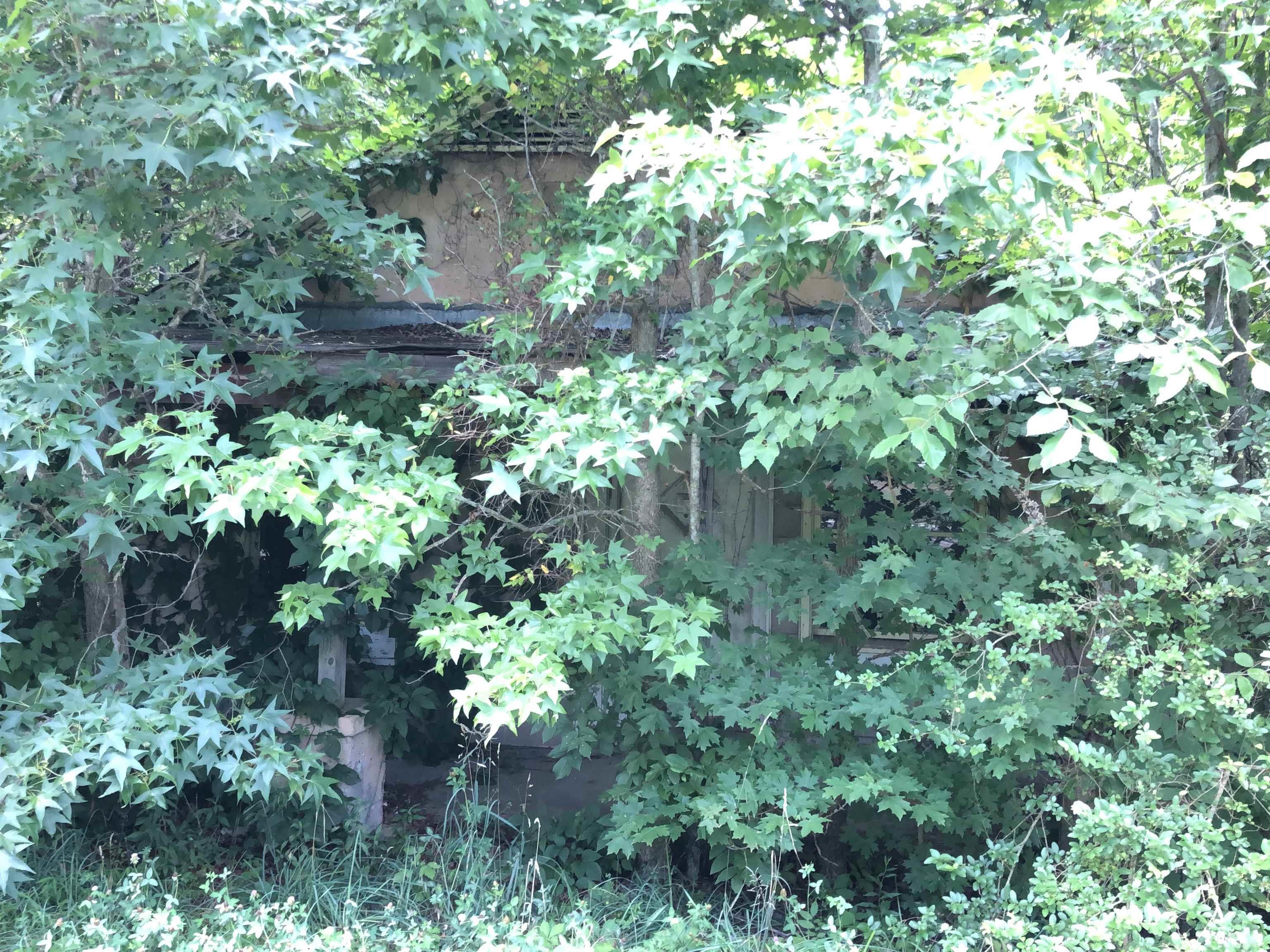 277 Cavel Chub Lake Road Roxboro, NC 27574 - Photo 8 of 24 a view of a garden with plants