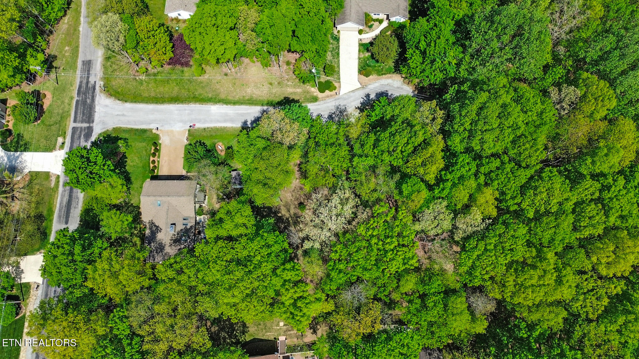 12 Ridgecrest Circle Crossville, TN 38558 - Photo 2 of 52 BIRDS EYE VIEW 12/14 RIDGE CREST