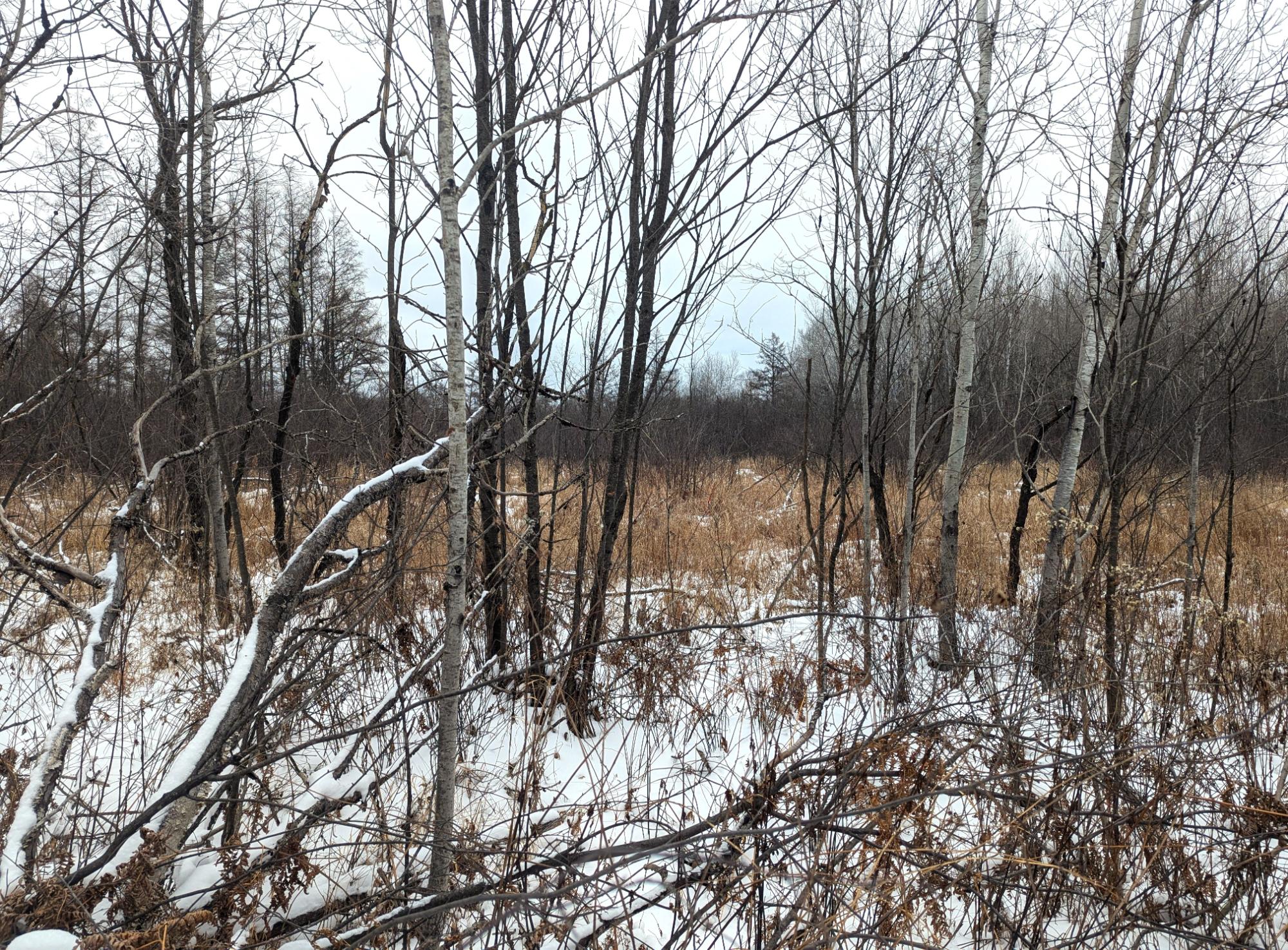 8 Prentice Wi 54556 Prentice, WI 54556 - Photo 24 of 35 Gallery Image 24