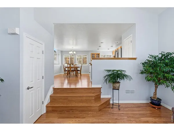 a view of kitchen with furniture and a potted plant