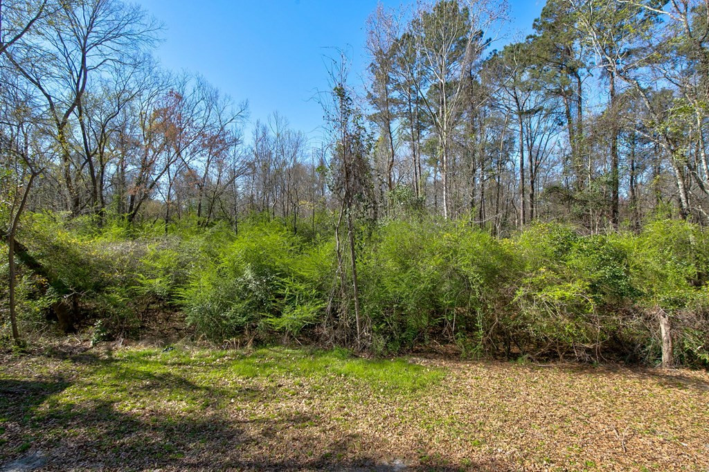 830 Marigold Street Sumter, SC 29150 - Photo 35 of 40 Gallery Image 35