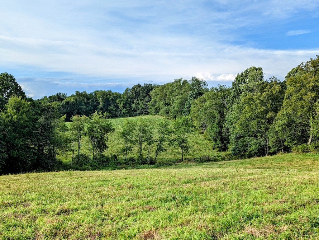 Tbd Red Oak Grove Road Northeast Floyd, VA 24091 - Photo 3 of 33 Gallery Image 3