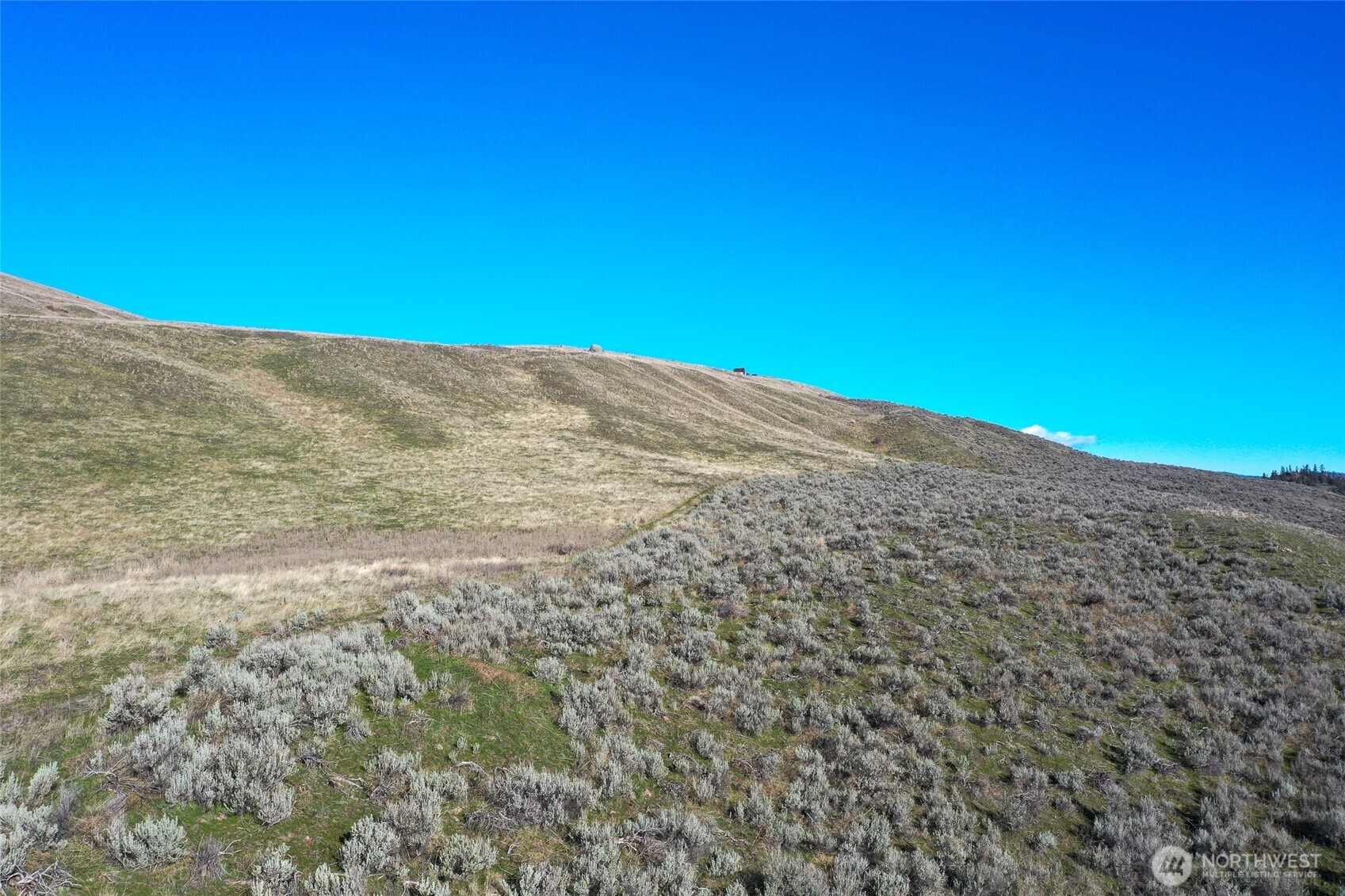 -tbd Tbd Road Oroville, WA 98844 - Photo 11 of 25