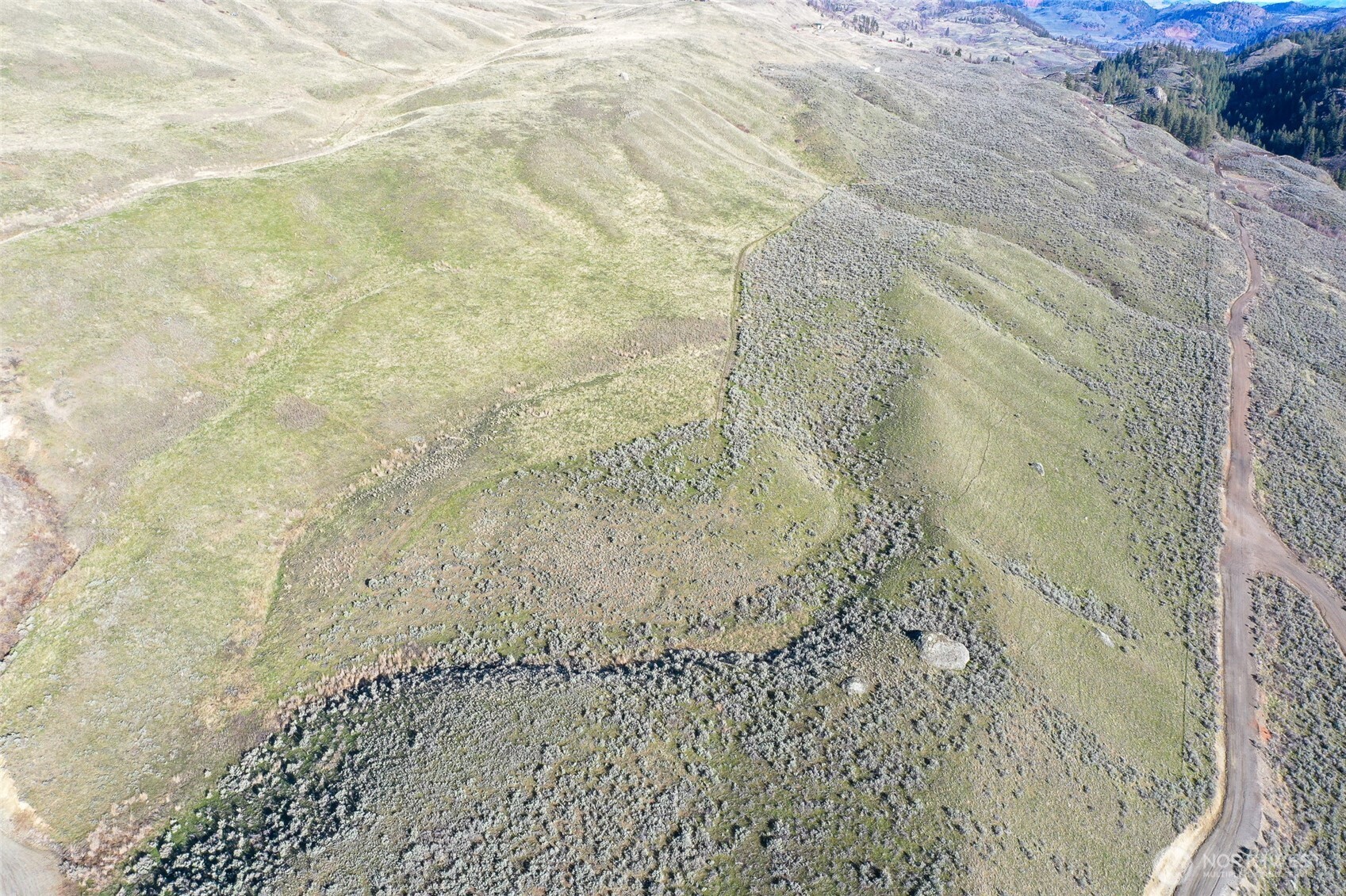 -tbd Tbd Road Oroville, WA 98844 - Photo 15 of 25