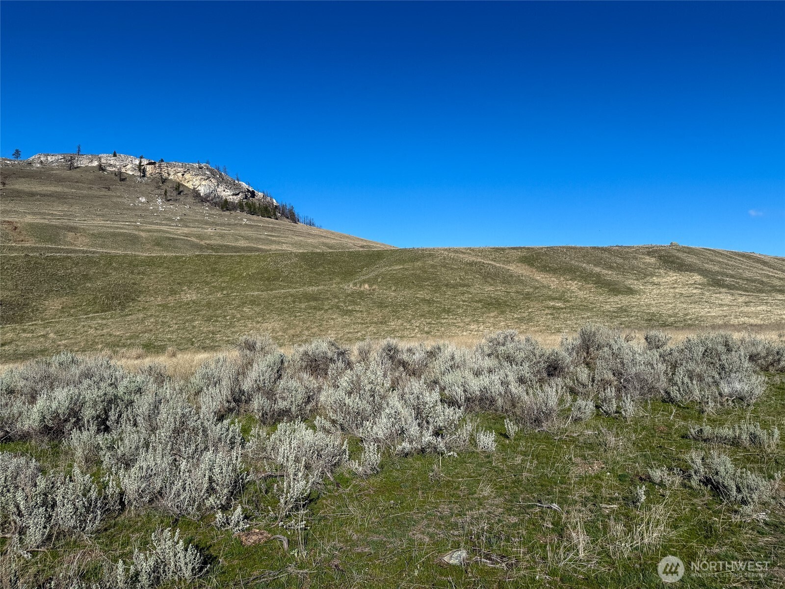 -tbd Tbd Road Oroville, WA 98844 - Photo 17 of 25