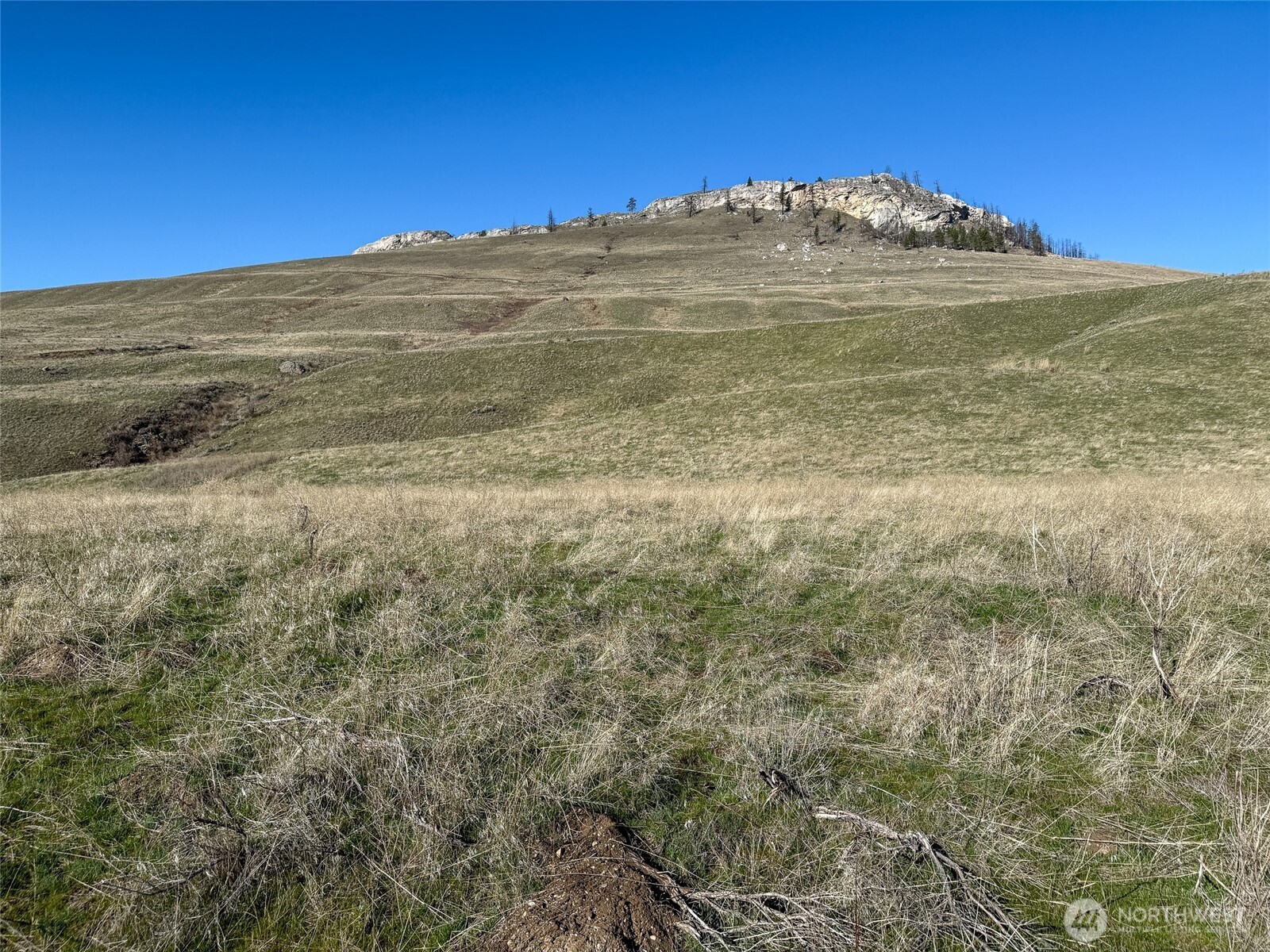 -tbd Tbd Road Oroville, WA 98844 - Photo 19 of 25